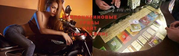 альфа пвп Касимов